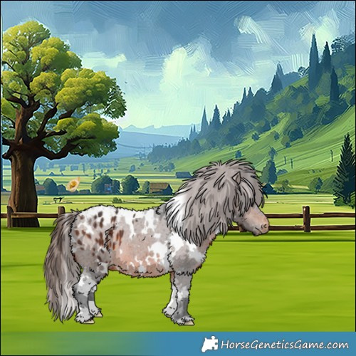 Horse Color:White Spotted Brown Appaloosa 