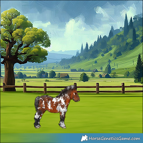 Horse Color:White Spotted Brown 