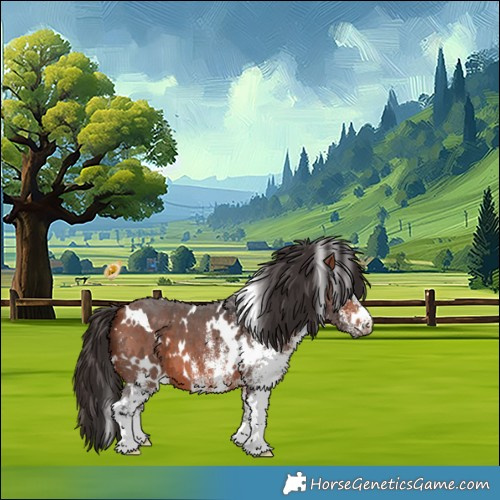 Horse Color:White Spotted Bay 