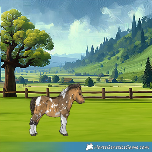 Horse Color:White Spotted Buckskin Tobiano 