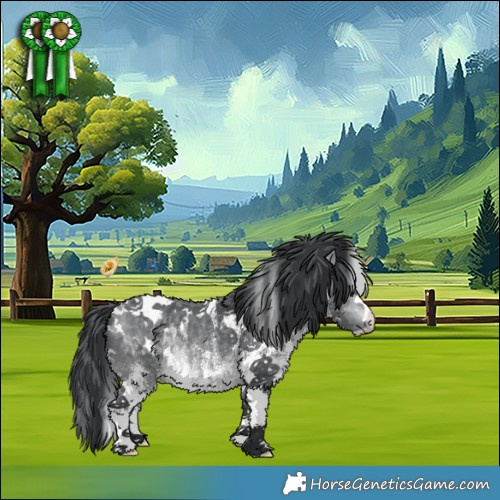 Horse Color:White Spotted Bay Chinchilla 