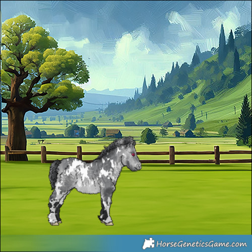 Horse Color:White Spotted Bay Chinchilla 