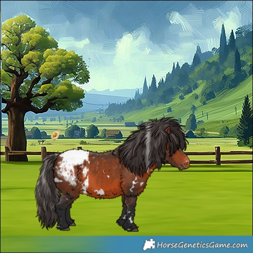 Horse Color:White Spotted Bay Snowcap 
