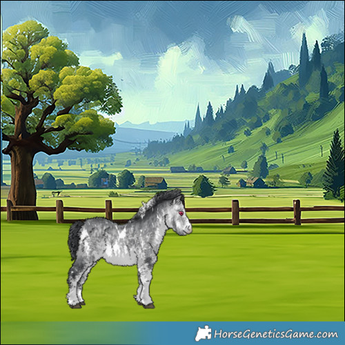 Horse Color:White Spotted Bay Chinchilla 