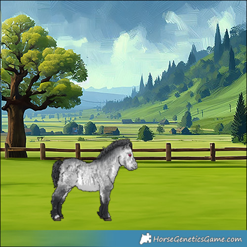 Horse Color:White Spotted Bay Chinchilla 