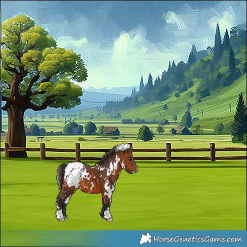 Horse Color:White Spotted Bay Blanket 