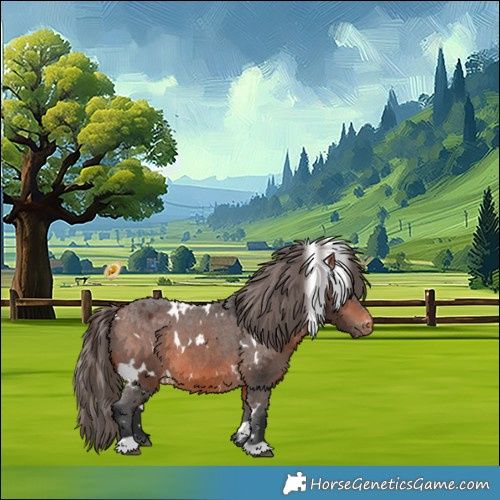 Horse Color:White Spotted Bay Appaloosa 