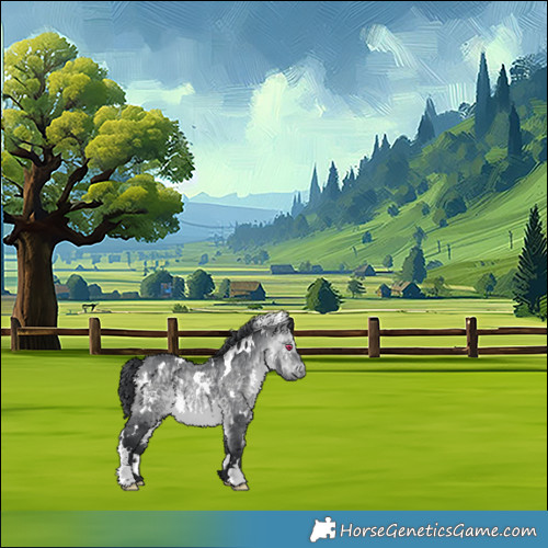 Horse Color:White Spotted Bay Chinchilla 