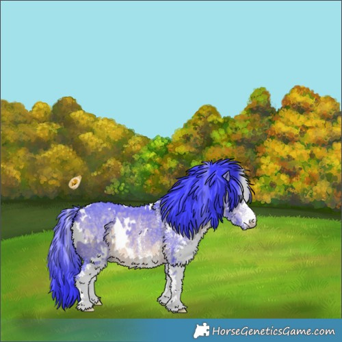 Horse Color:Watercolor White Spotted Bay Chinchilla 