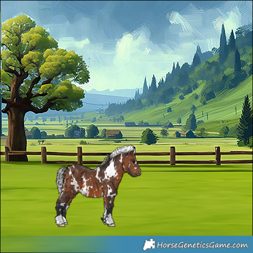 Horse Color:White Spotted Brown 