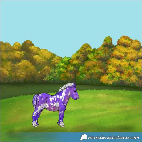 Horse Color:Watercolor White Spotted Brown 