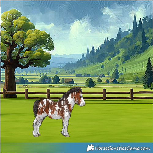 Horse Color:White Spotted Bay Varnish 