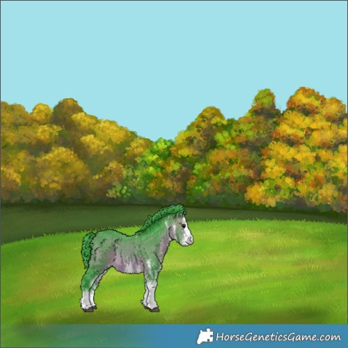 Horse Color:Watercolor White Spotted Bay 
