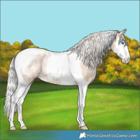 Horse Color:Silver Bay Ice Dun Splash Tobiano Appaloosa Rabicano 