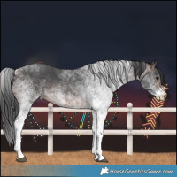 Horse Color:White Spotted Brown Rabicano 