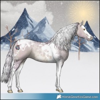 Horse Color:Watercolor Silver Bay Dun Splash Tobiano 