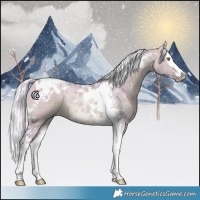 Horse Color:Watercolor Silver Bay Dun Splash Tobiano