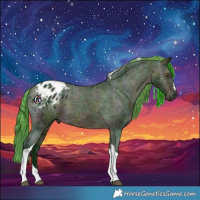 Horse Color:Watercolor Midnight Bay Ice Tobiano Appaloosa