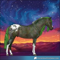 Horse Color:Watercolor Midnight Bay Ice Tobiano Appaloosa 
