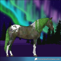 Horse Color:Watercolor Midnight Bay Ice Tobiano Appaloosa 