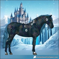 Horse Color:Watercolor Midnight Black Ice