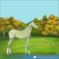 Horse Color:Painted Watercolor Bay Ice Tobiano