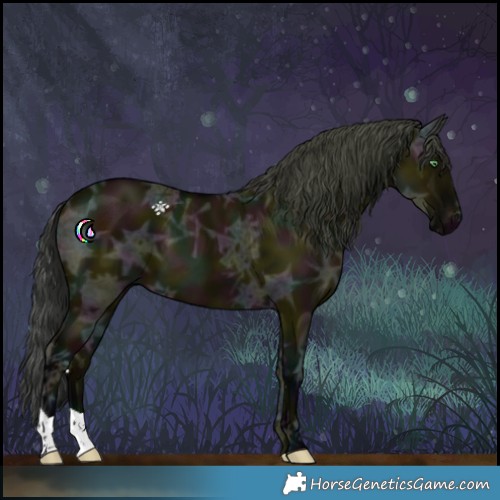 Horse Color:Midnight Grullo Ice