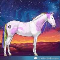Horse Color:Painted Watercolor Palomino Splash Tobiano