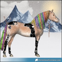 Horse Color:Painted Chestnut Ice Tobiano 