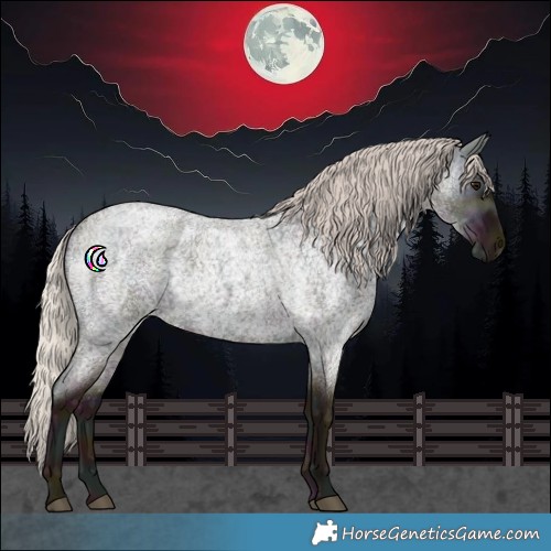 Horse Color:Midnight Silver Blue Ice Roan Rabicano