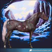 Horse Color:Midnight Silver Bay Ice Dun