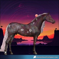 Horse Color:Midnight Silver Bay Ice Dun 