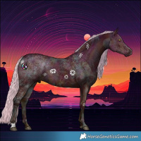 Horse Color:Midnight Silver Bay Ice Dun 