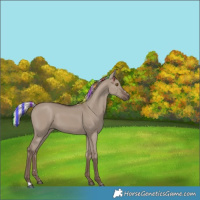 Horse Color:Painted Silver Grullo