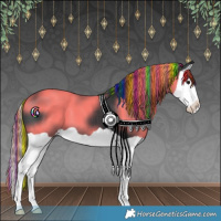 Horse Color:Painted Black Splash 