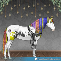 Horse Color:Painted Black Splash Tobiano Appaloosa 
