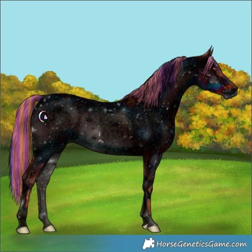 Horse Color:ERROR: UNKNOWN ANOMALY