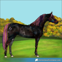Horse Color:ERROR: UNKNOWN ANOMALY