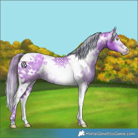 Horse Color:Gray Painted Watercolor White Spotted Gold Champagne Tobiano