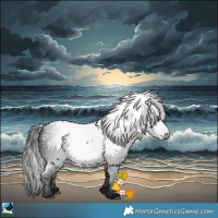 Horse Color:Gray White Spotted Bay