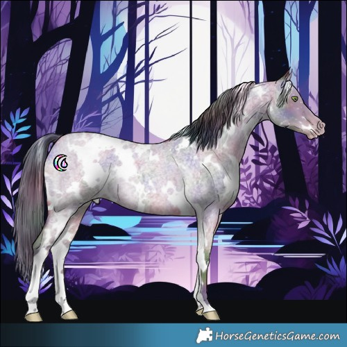 Horse Color:Nacre White Spotted Sable Champagne Roan 