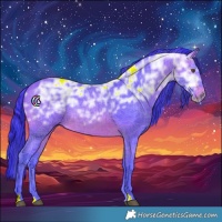 Horse Color:Watercolor Brown Ice 