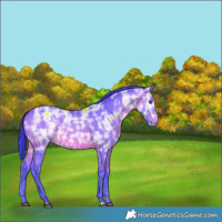 Horse Color:Watercolor Brown Ice