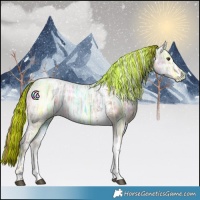 Horse Color:Painted Red Dun Ice Tobiano Rabicano 