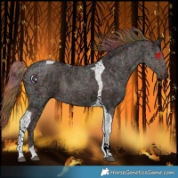 Horse Color:Nacre Midnight Chestnut Ice Tobiano Rabicano 