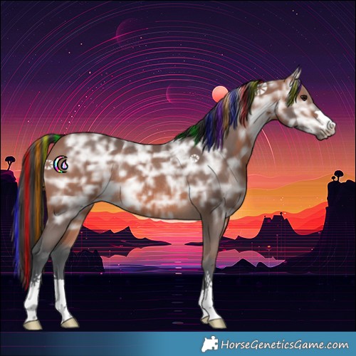 Horse Color:Painted Bay Ice Rabicano 