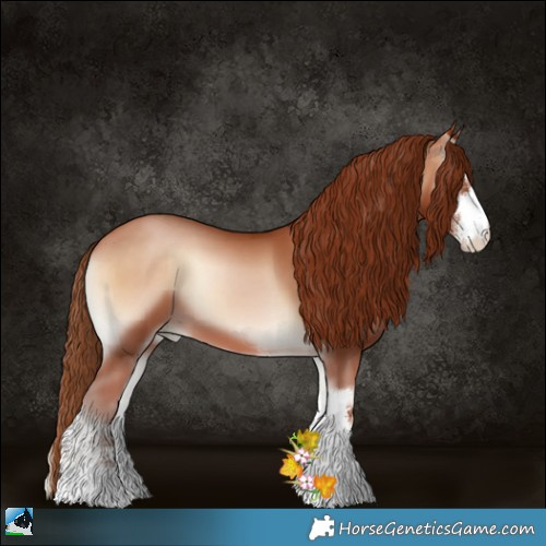 Horse Color:Bay Pearl Onyx Sabino 