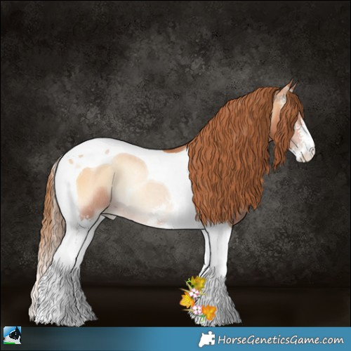Horse Color:Bay Pearl Onyx Sabino Tobiano Rabicano 
