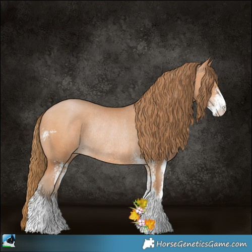 Horse Color:Bay Pearl Sabino Rabicano 