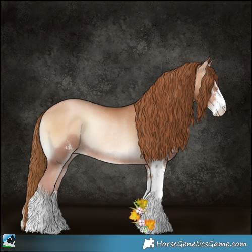 Horse Color:Red Onyx Pearl Sabino Rabicano 